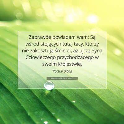Picture 07 - Mateusza 16:28 POLUBG - Zaprawdę powiadam wam: Są wśród stojących - Bible Verse Picture