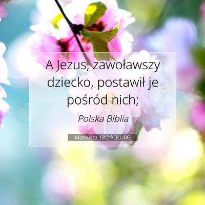 Picture 07 - Mateusza 18:2 POLUBG - A Jezus, zawoławszy dziecko, postawił je - Bible Verse Picture