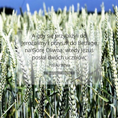 Picture 07 - Mateusza 21:1 POLUBG - A gdy się przybliżyli do Jerozolimy i przyszli - Bible Verse Picture