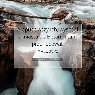 Picture 07 - Mateusza 21:17 POLUBG - A opuściwszy ich, wyszedł z miasta do Betanii i - Bible Verse Picture