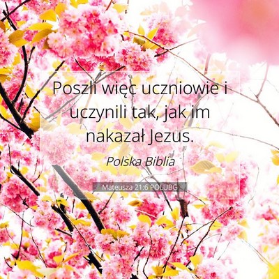 Picture 07 - Mateusza 21:6 POLUBG - Poszli więc uczniowie i uczynili tak, jak im - Bible Verse Picture