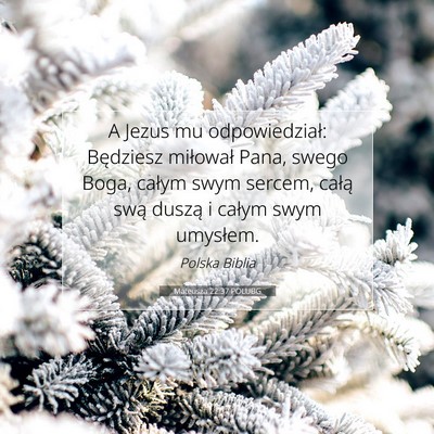 Picture 07 - Mateusza 22:37 POLUBG - A Jezus mu odpowiedział: Będziesz miłował - Bible Verse Picture