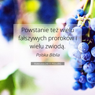 Picture 07 - Mateusza 24:11 POLUBG - Powstanie też wielu fałszywych proroków i - Bible Verse Picture