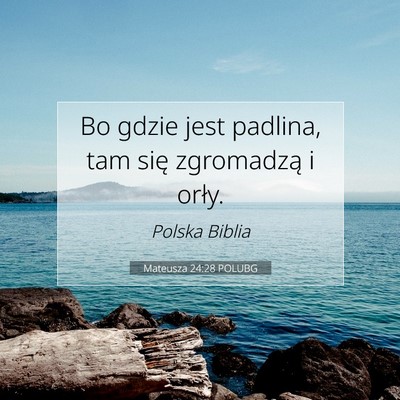 Picture 07 - Mateusza 24:28 POLUBG - Bo gdzie jest padlina, tam się zgromadzą i - Bible Verse Picture
