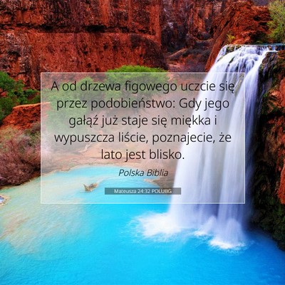 Picture 07 - Mateusza 24:32 POLUBG - A od drzewa figowego uczcie się przez - Bible Verse Picture