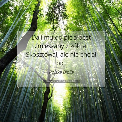 Picture 07 - Mateusza 27:34 POLUBG - Dali mu do picia ocet zmieszany z żółcią. - Bible Verse Picture