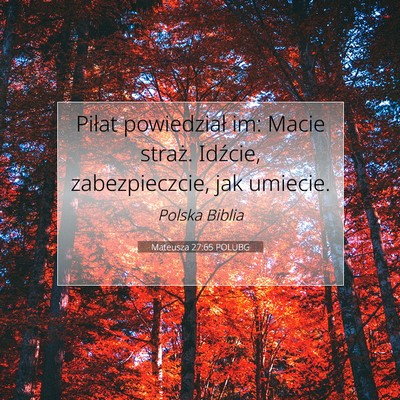 Picture 07 - Mateusza 27:65 POLUBG - Piłat powiedział im: Macie straż. Idźcie, - Bible Verse Picture