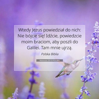 Picture 07 - Mateusza 28:10 POLUBG - Wtedy Jezus powiedział do nich: Nie bójcie - Bible Verse Picture