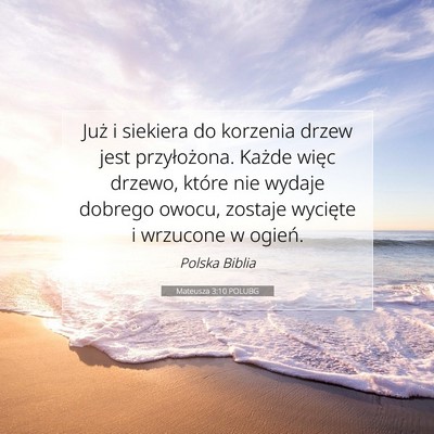 Picture 07 - Mateusza 3:10 POLUBG - Już i siekiera do korzenia drzew jest - Bible Verse Picture