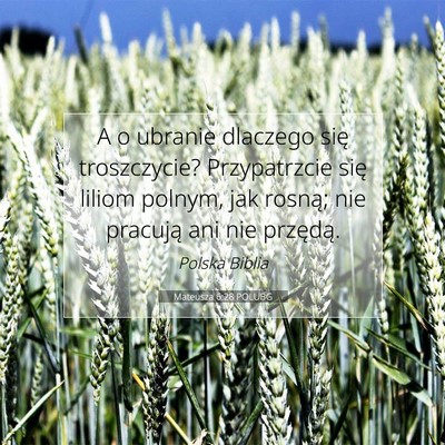 Picture 07 - Mateusza 6:28 POLUBG - A o ubranie dlaczego się troszczycie? - Bible Verse Picture