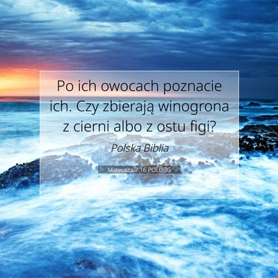 Picture 07 - Mateusza 7:16 POLUBG - Po ich owocach poznacie ich. Czy zbierają - Bible Verse Picture