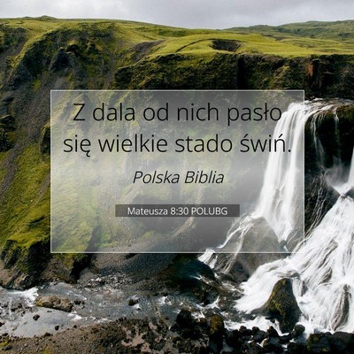 Picture 07 - Mateusza 8:30 POLUBG - Z dala od nich pasło się wielkie stado - Bible Verse Picture