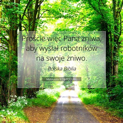 Picture 07 - Mateusza 9:38 POLUBG - Proście więc Pana żniwa, aby wysłał - Bible Verse Picture