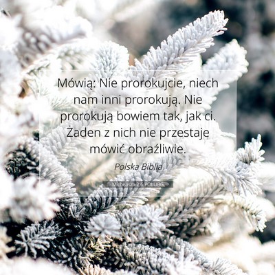 Picture 07 - Micheasza 2:6 POLUBG - Mówią: Nie prorokujcie, niech nam inni - Bible Verse Picture