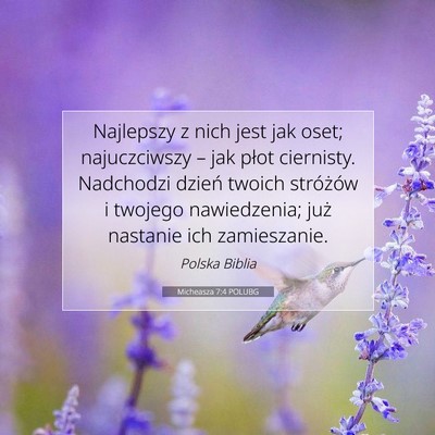 Picture 07 - Micheasza 7:4 POLUBG - Najlepszy z nich jest jak oset; najuczciwszy – - Bible Verse Picture