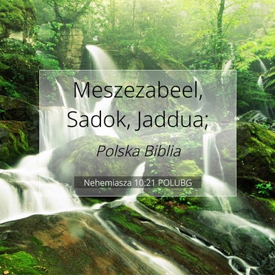 Picture 07 - Nehemiasza 10:21 POLUBG - Meszezabeel, Sadok, - Bible Verse Picture
