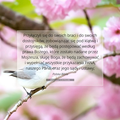 Picture 07 - Nehemiasza 10:29 POLUBG - Przyłączyli się do swoich braci i do swoich - Bible Verse Picture