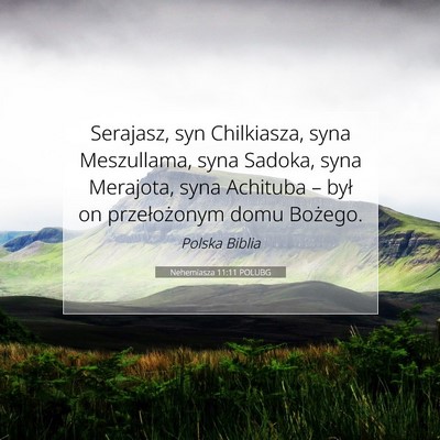 Picture 07 - Nehemiasza 11:11 POLUBG - Serajasz, syn Chilkiasza, syna Meszullama, syna - Bible Verse Picture