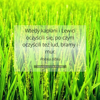 Picture 07 - Nehemiasza 12:30 POLUBG - Wtedy kapłani i Lewici oczyścili się, po czym - Bible Verse Picture