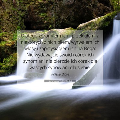 Picture 07 - Nehemiasza 13:25 POLUBG - Dlatego zgromiłem ich i przekląłem, a - Bible Verse Picture