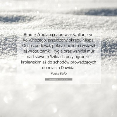 Picture 07 - Nehemiasza 3:15 POLUBG - Bramę Źródlaną naprawiał Szallun, syn - Bible Verse Picture