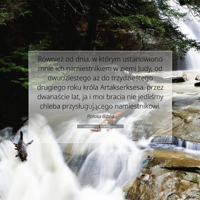 Picture 07 - Nehemiasza 5:14 POLUBG - Również od dnia, w którym ustanowiono mnie ich - Bible Verse Picture