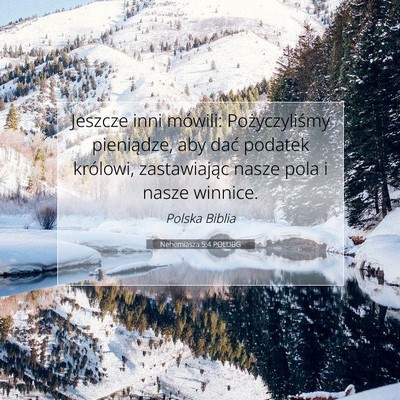 Picture 07 - Nehemiasza 5:4 POLUBG - Jeszcze inni mówili: Pożyczyliśmy pieniądze, - Bible Verse Picture