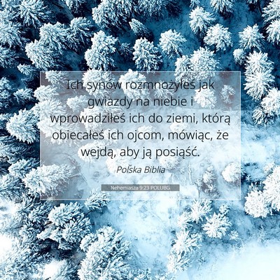 Picture 07 - Nehemiasza 9:23 POLUBG - Ich synów rozmnożyłeś jak gwiazdy na niebie i - Bible Verse Picture