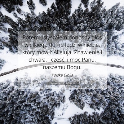 Picture 07 - Objawienie 19:1 POLUBG - Potem usłyszałem donośny głos wielkiego - Bible Verse Picture