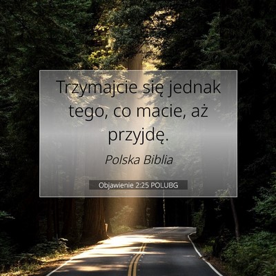 Picture 07 - Objawienie 2:25 POLUBG - Trzymajcie się jednak tego, co macie, aż - Bible Verse Picture