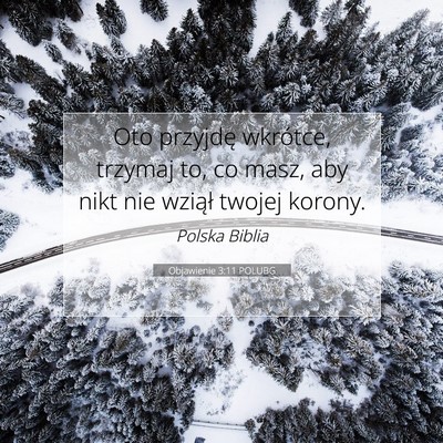 Picture 07 - Objawienie 3:11 POLUBG - Oto przyjdę wkrótce, trzymaj to, co masz, aby - Bible Verse Picture