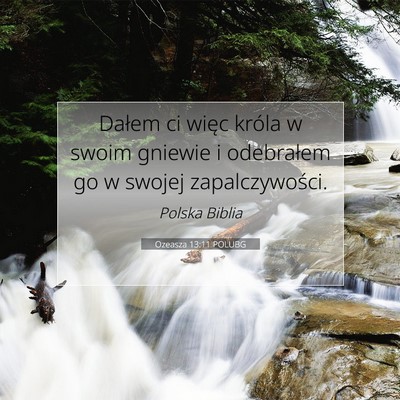 Picture 07 - Ozeasza 13:11 POLUBG - Dałem ci więc króla w swoim gniewie i - Bible Verse Picture