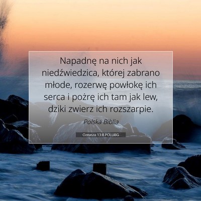 Picture 07 - Ozeasza 13:8 POLUBG - Napadnę na nich jak niedźwiedzica, której - Bible Verse Picture