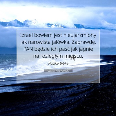 Picture 07 - Ozeasza 4:16 POLUBG - Izrael bowiem jest nieujarzmiony jak narowista - Bible Verse Picture