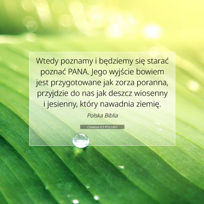 Picture 07 - Ozeasza 6:3 POLUBG - Wtedy poznamy i będziemy się starać poznać - Bible Verse Picture