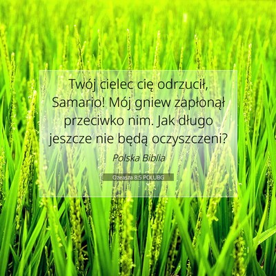 Picture 07 - Ozeasza 8:5 POLUBG - Twój cielec cię odrzucił, Samario! Mój gniew - Bible Verse Picture