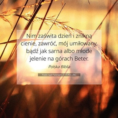Picture 07 - Pieśń nad Pieśniami 2:17 POLUBG - Nim zaświta dzień i znikną cienie, zawróć, - Bible Verse Picture