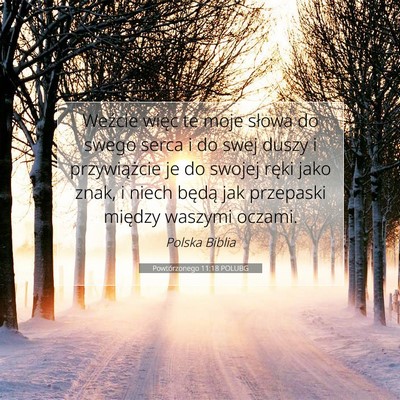 Picture 07 - Powtórzonego 11:18 POLUBG - Weźcie więc te moje słowa do swego serca i do - Bible Verse Picture