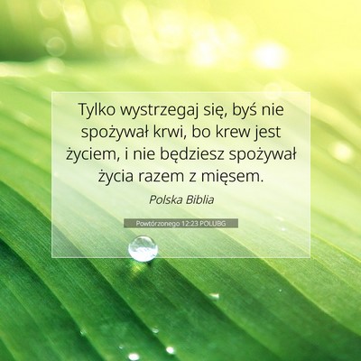 Picture 07 - Powtórzonego 12:23 POLUBG - Tylko wystrzegaj się, byś nie spożywał krwi, - Bible Verse Picture