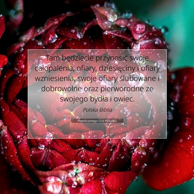 Picture 07 - Powtórzonego 12:6 POLUBG - Tam będziecie przynosić swoje całopalenia, - Bible Verse Picture