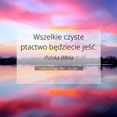 Picture 07 - Powtórzonego 14:11 POLUBG - Wszelkie czyste ptactwo będziecie - Bible Verse Picture