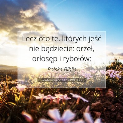 Picture 07 - Powtórzonego 14:12 POLUBG - Lecz oto te, których jeść nie będziecie: - Bible Verse Picture