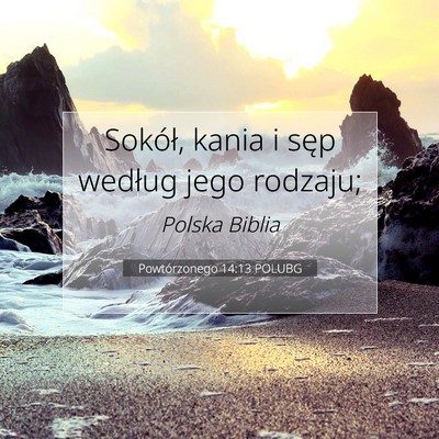 Picture 07 - Powtórzonego 14:13 POLUBG - Sokół, kania i sęp według jego - Bible Verse Picture