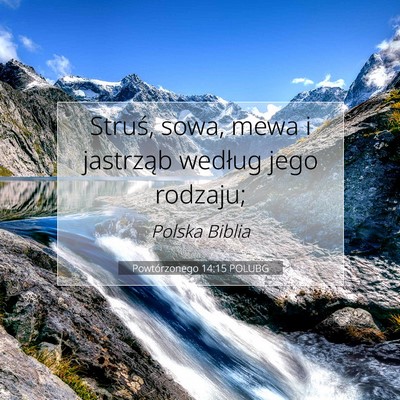 Picture 07 - Powtórzonego 14:15 POLUBG - Struś, sowa, mewa i jastrząb według jego - Bible Verse Picture