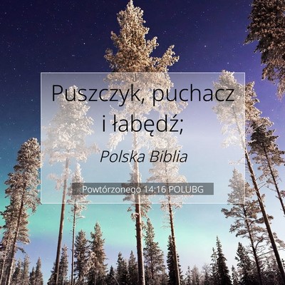 Picture 07 - Powtórzonego 14:16 POLUBG - Puszczyk, puchacz i - Bible Verse Picture