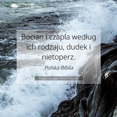 Picture 07 - Powtórzonego 14:18 POLUBG - Bocian i czapla według ich rodzaju, dudek i - Bible Verse Picture
