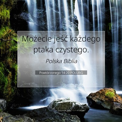 Picture 07 - Powtórzonego 14:20 POLUBG - Możecie jeść każdego ptaka - Bible Verse Picture