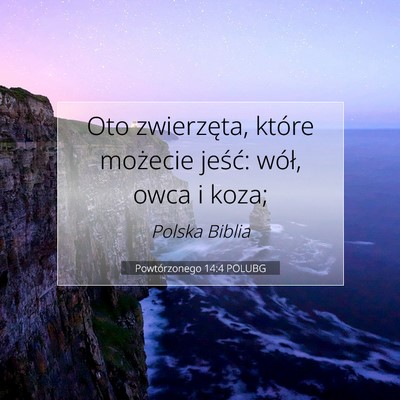 Picture 07 - Powtórzonego 14:4 POLUBG - Oto zwierzęta, które możecie jeść: wół, - Bible Verse Picture