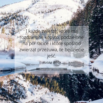 Picture 07 - Powtórzonego 14:6 POLUBG - I każde zwierzę, które ma rozdzielone kopyto, - Bible Verse Picture