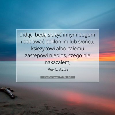 Picture 07 - Powtórzonego 17:3 POLUBG - I idąc, będą służyć innym bogom i oddawać - Bible Verse Picture